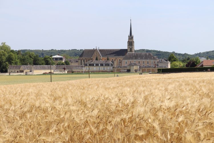 Loir en Vallée Ruillé