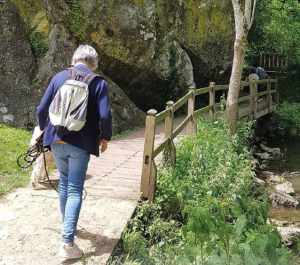 Sur les sentiers de Loir-en-Vallée