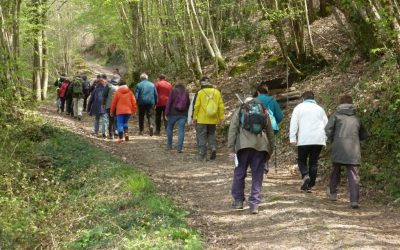 Randonnées à Loir-en-Vallée