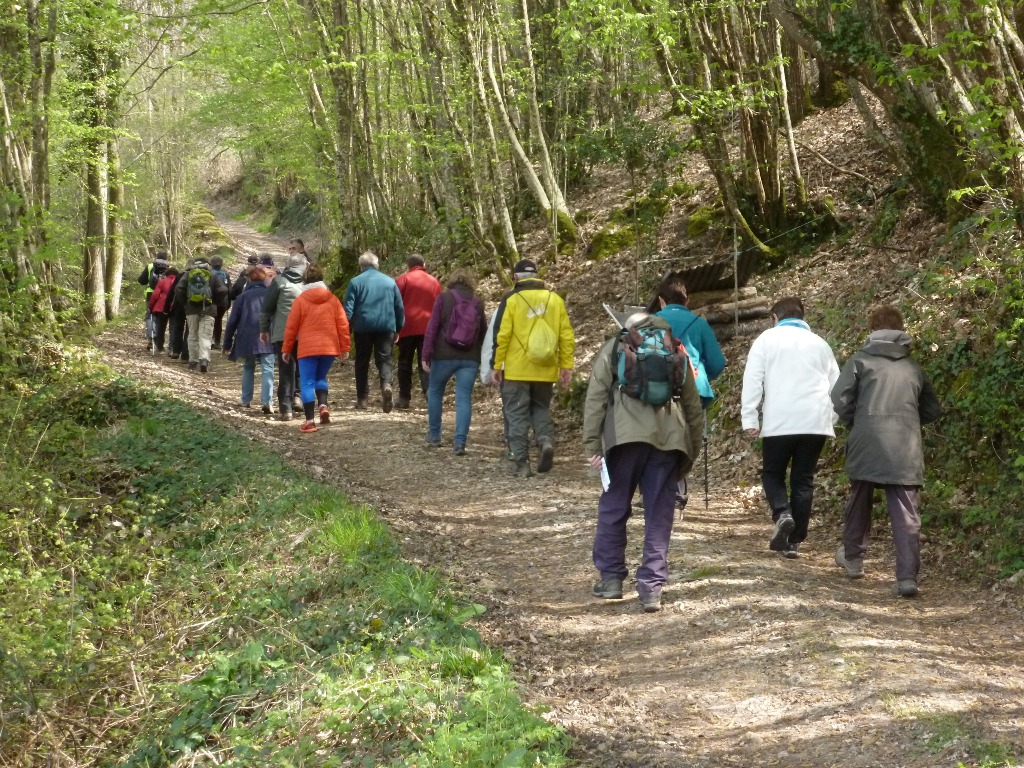 Chemin de randonnée à Loir-en-Vallée